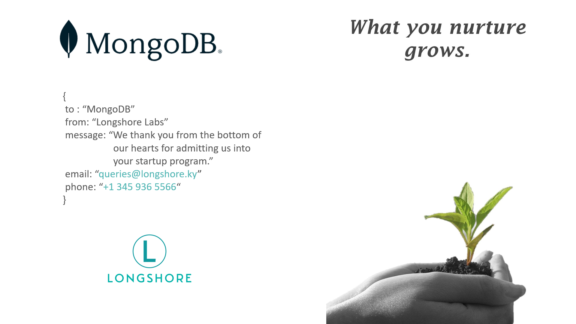 mongodb-longshore